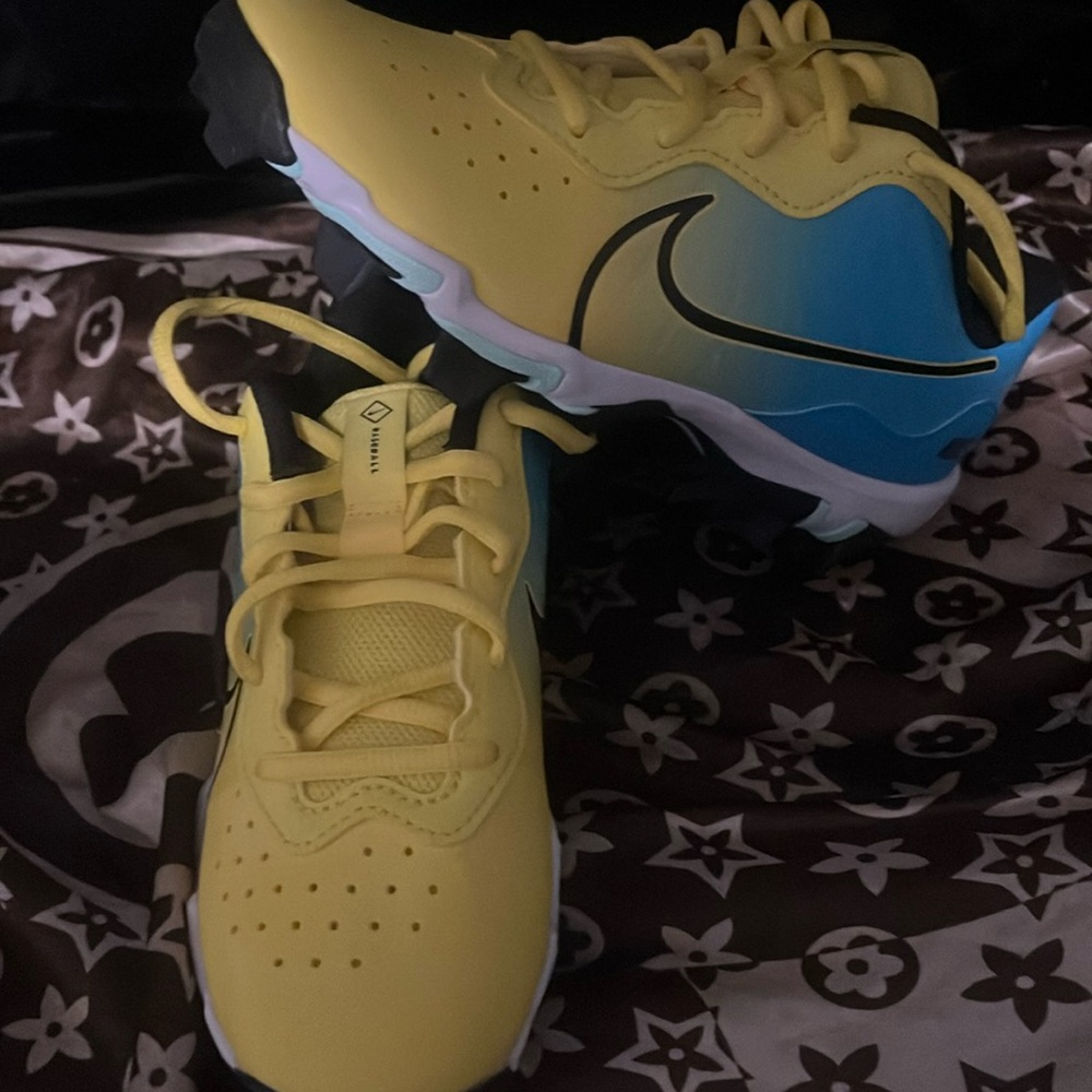 ALPHA HUARACHE